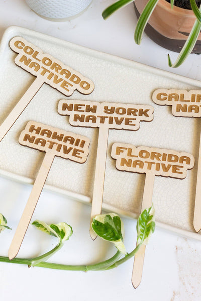 Florida Native Plant Stake - Mulberry Market Designs