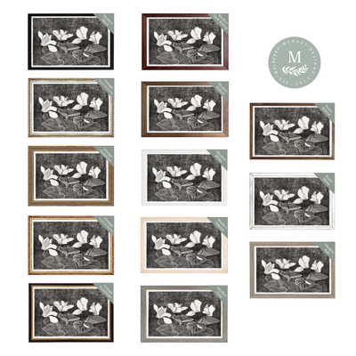 Cyclamen Modern Wall Art - Mulberry Market Designs