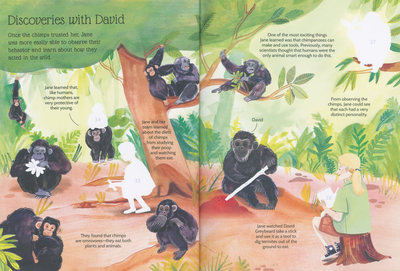 Sticker Life Stories: Jane Goodall Book - Mulberry Market Designs
