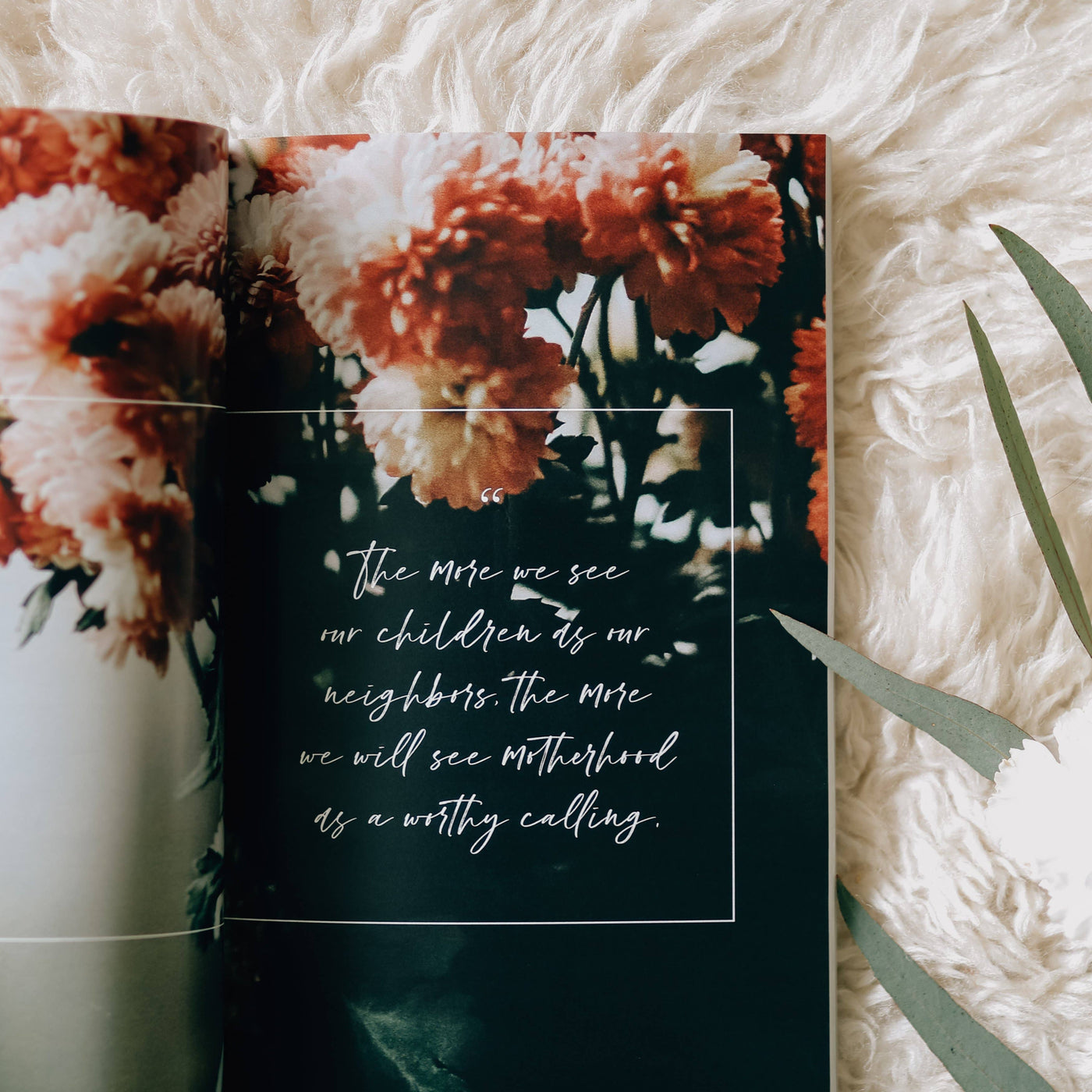 Gospel-Centered Motherhood Study Book