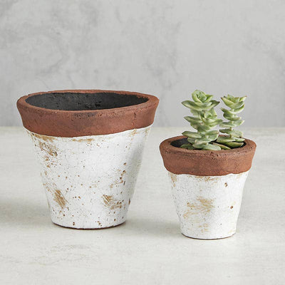 White & Terracotta Planter Pot