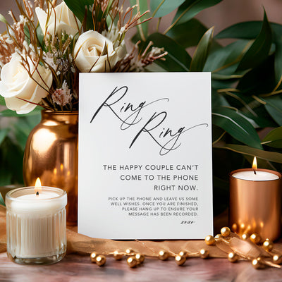Acrylic Audio Guest Book Wedding Sign - Mulberry Market Designs