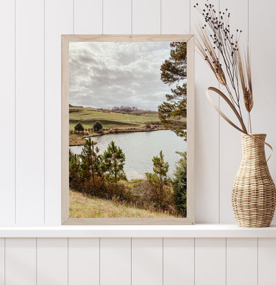 Georgia Lake Scene Framed Art Print