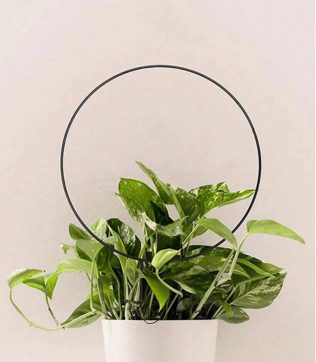 Round Indoor Plant Trellis - Mulberry Market Designs