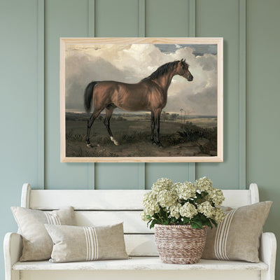 Vintage Stallion Horse Wall Art - Mulberry Market Designs