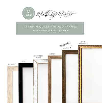 a variety of wood frames with a white background