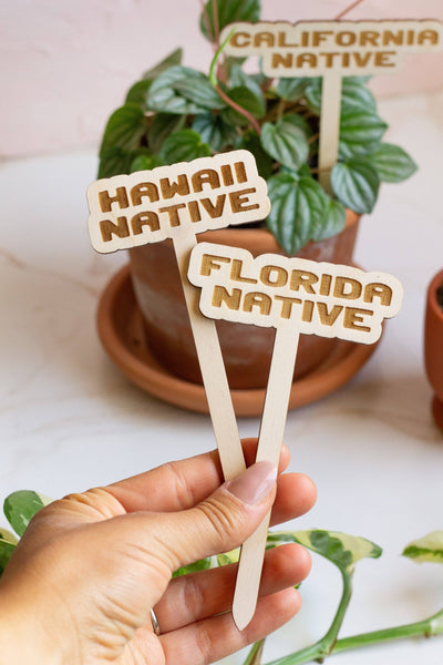 Florida Native Plant Stake - Mulberry Market Designs