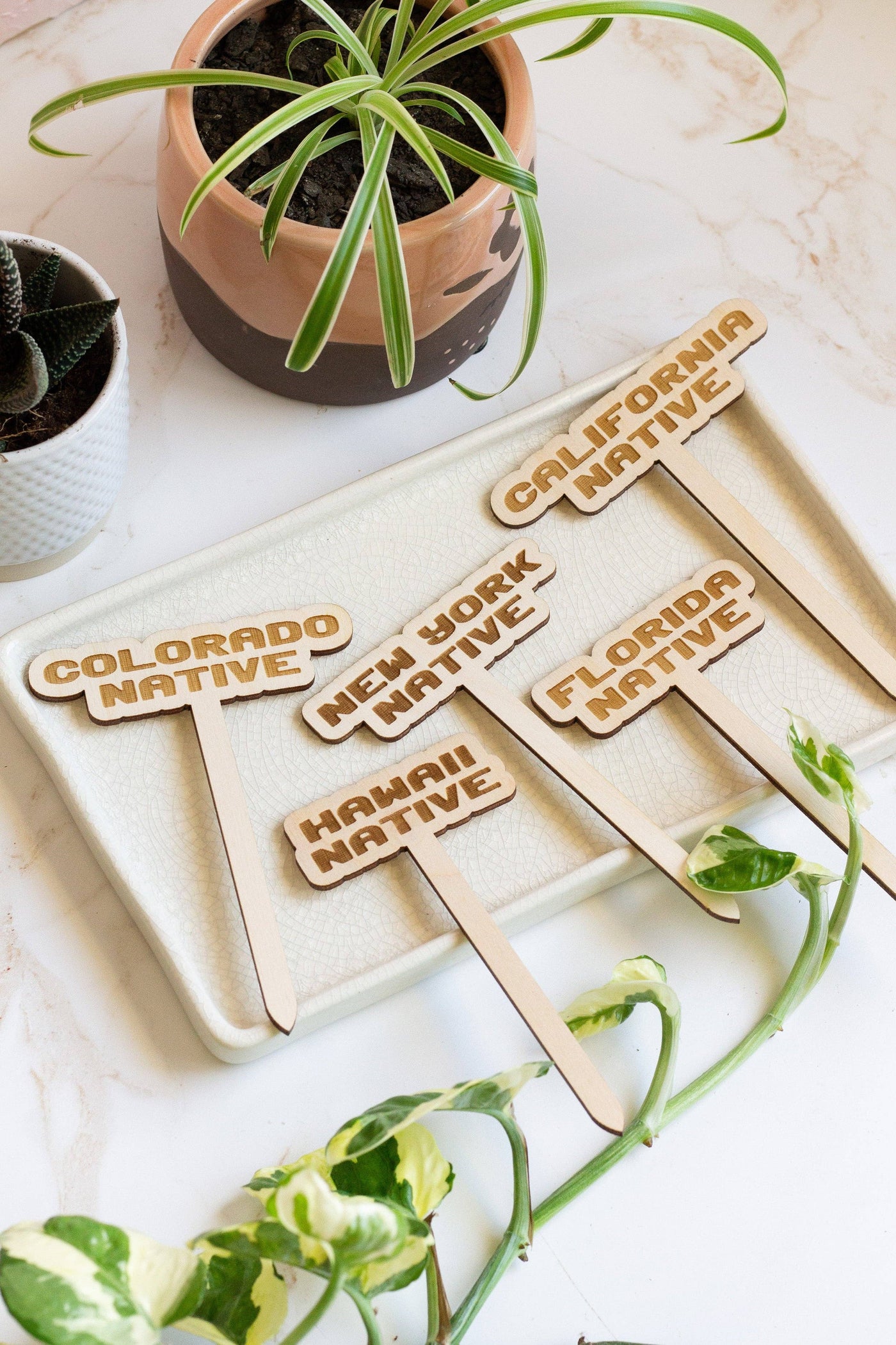 Florida Native Plant Stake - Mulberry Market Designs
