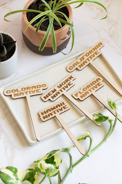 Florida Native Plant Stake - Mulberry Market Designs