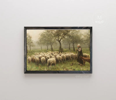 Sheep Vintage Wall Art 20X16 / Black Wood Framed Sign