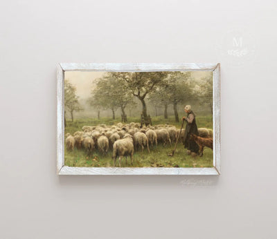 Sheep Vintage Wall Art 20X16 / Rustic White Wood Framed Sign