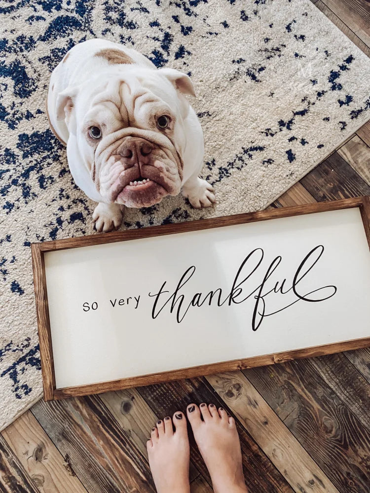 So Very Thankful Wood Framed Sign