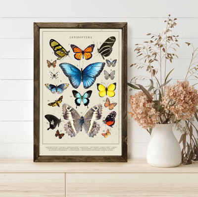 Vintage Butterfly Types Wall Art Wood Framed Sign
